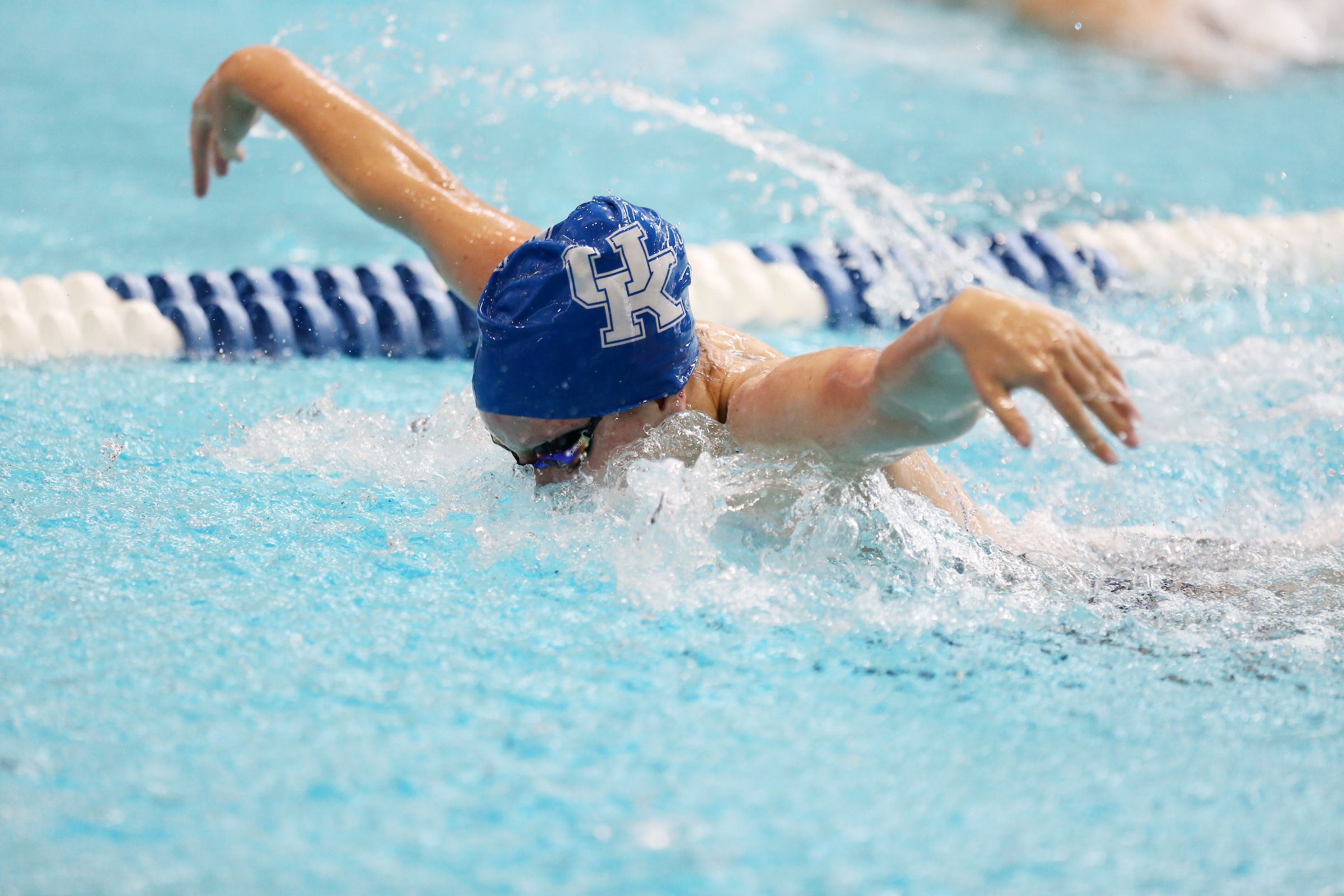 Kentucky Swimming Quad Meet Photo Gallery - Saturday