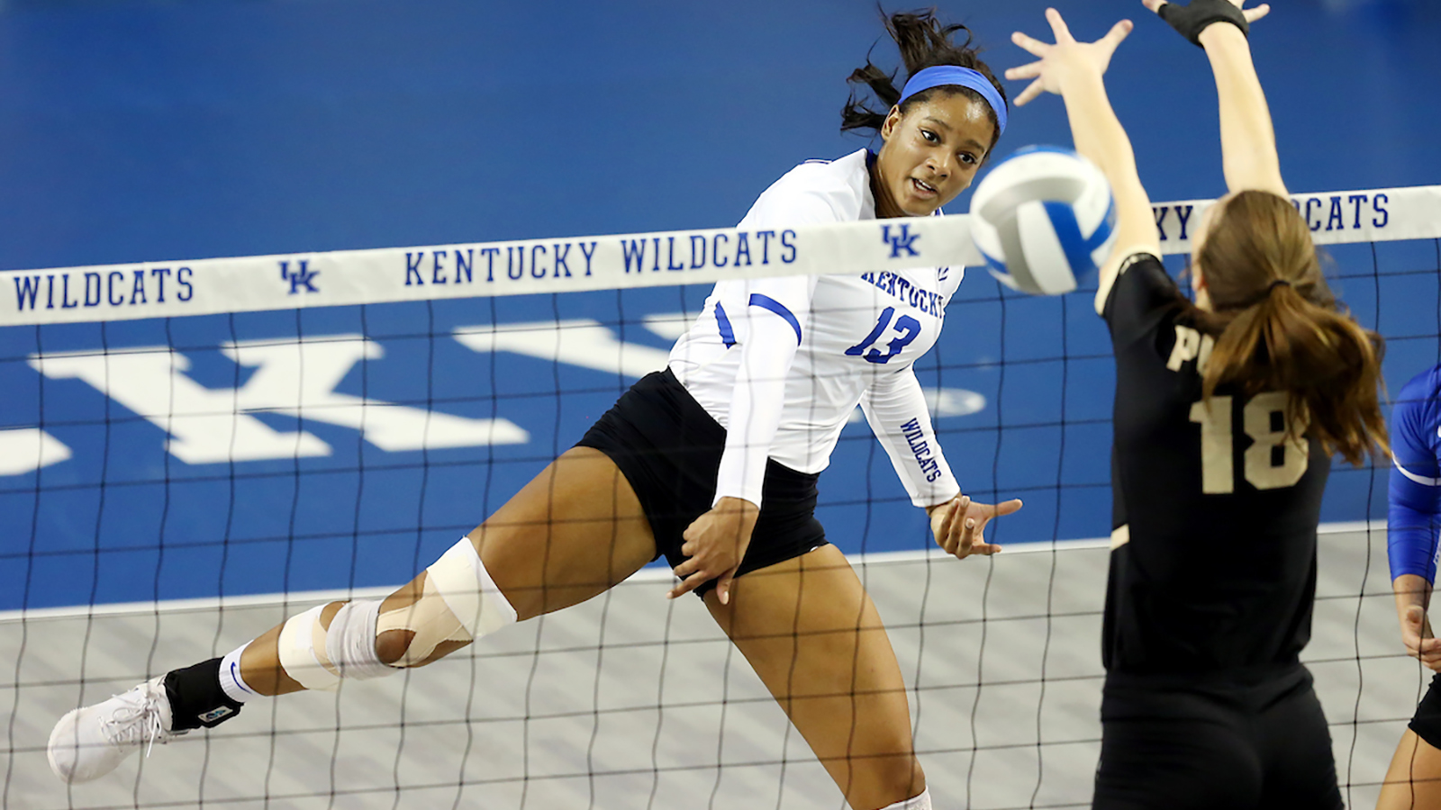 Balanced Attack Carries Volleyball Cats to Sweet 16