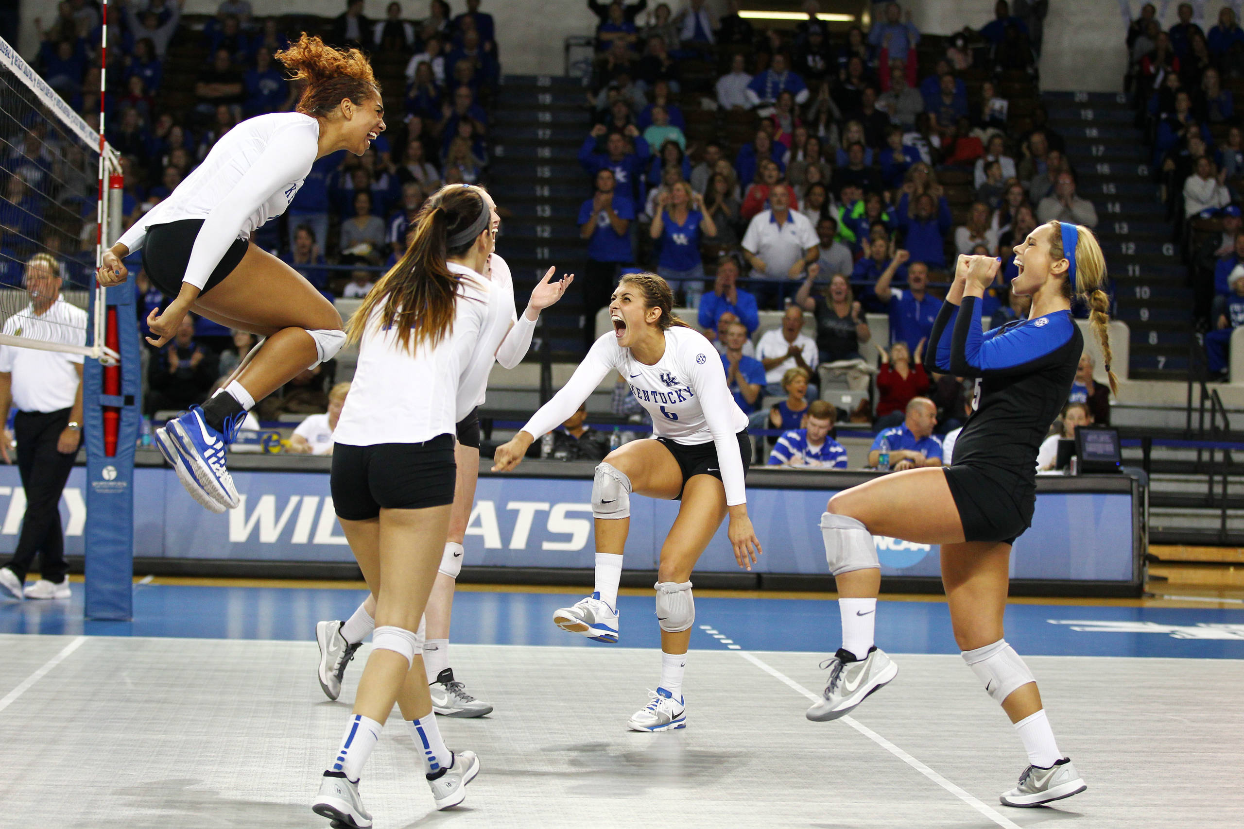 Volleyball Team Earns AVCA Team Academic Award