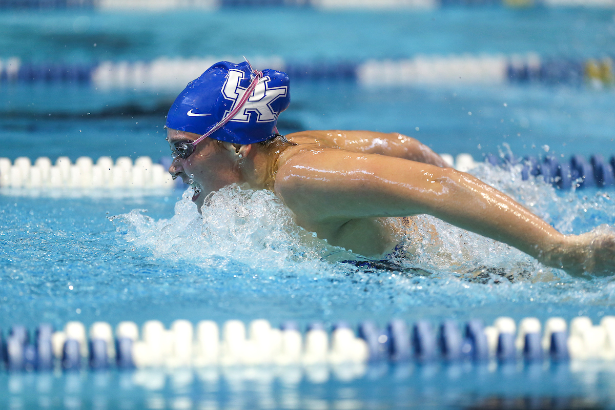 Kentucky Swim and Dive Blue and White meet.

Photo by Grace Bradley | UK Athletics