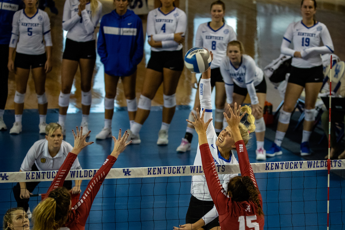Alli Stumler (17)


UK volleyball defeats Alabama 3-0 at Memorial Coliseum on , Sunday Nov. 11, 2018  in Lexington, Ky. Photo by Mark Mahan