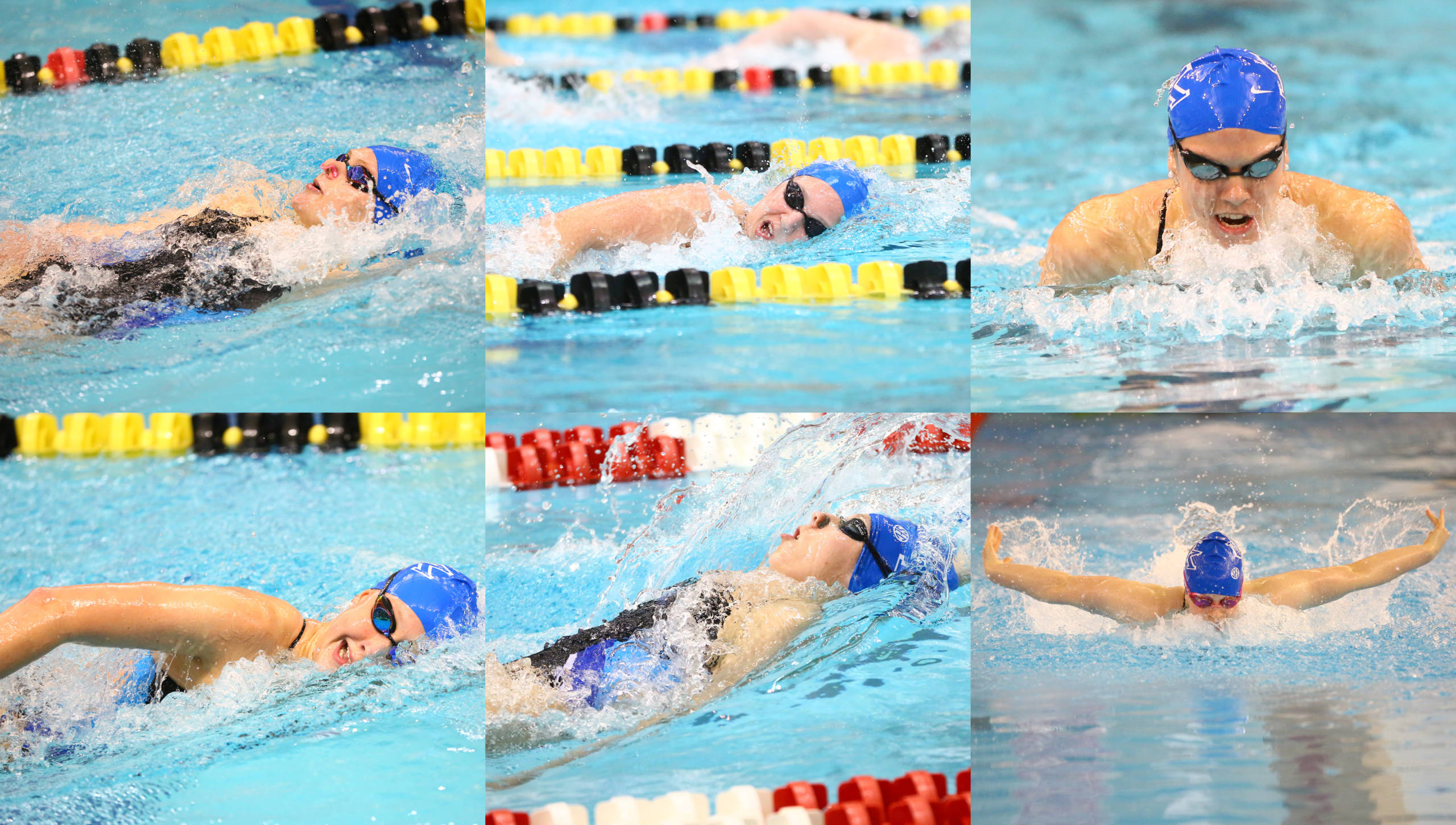 Six Wildcats Earn Individual Bids to NCAA Women’s Swimming Championships