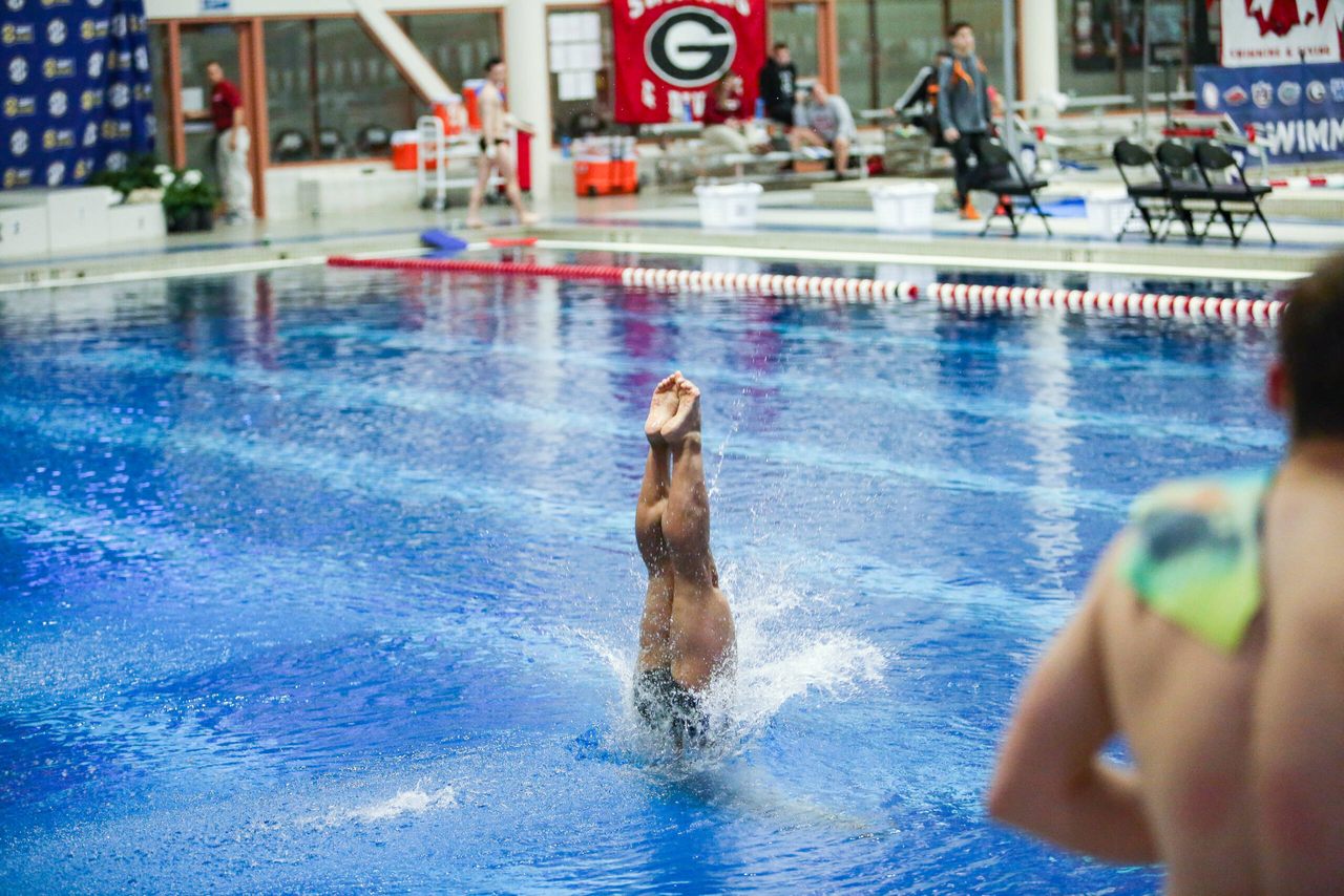 2019 SEC Swimming and Diving Championships