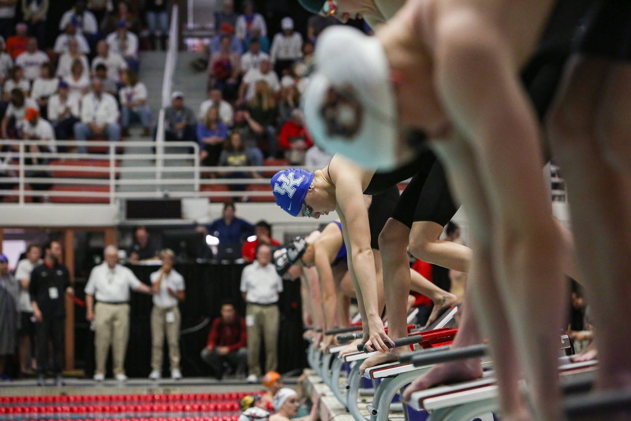 2019 SEC Swimming and Diving Championships