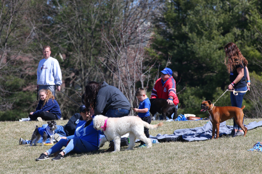 Bark at the park. 

UK falls to Mizzou 11-8.


Photo By Barry Westerman | UK Athletics