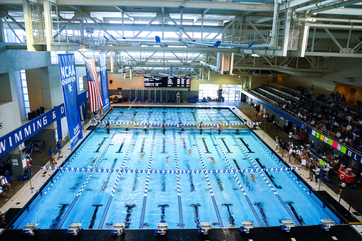 .

Kentucky Swim and Dive Blue and White meet.

Photo by Eddie Justice | UK Athletics