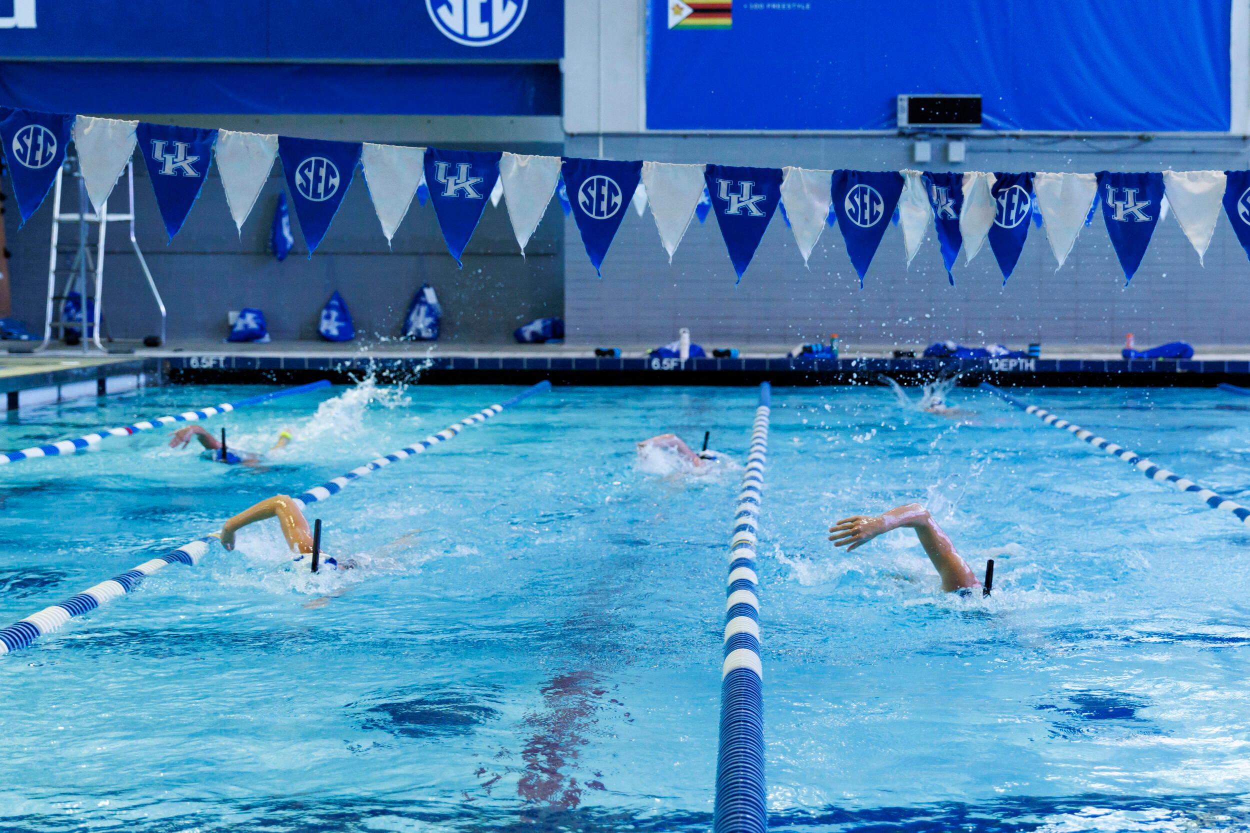 Kentucky Swim & Dive Opens the 2025-26 Season