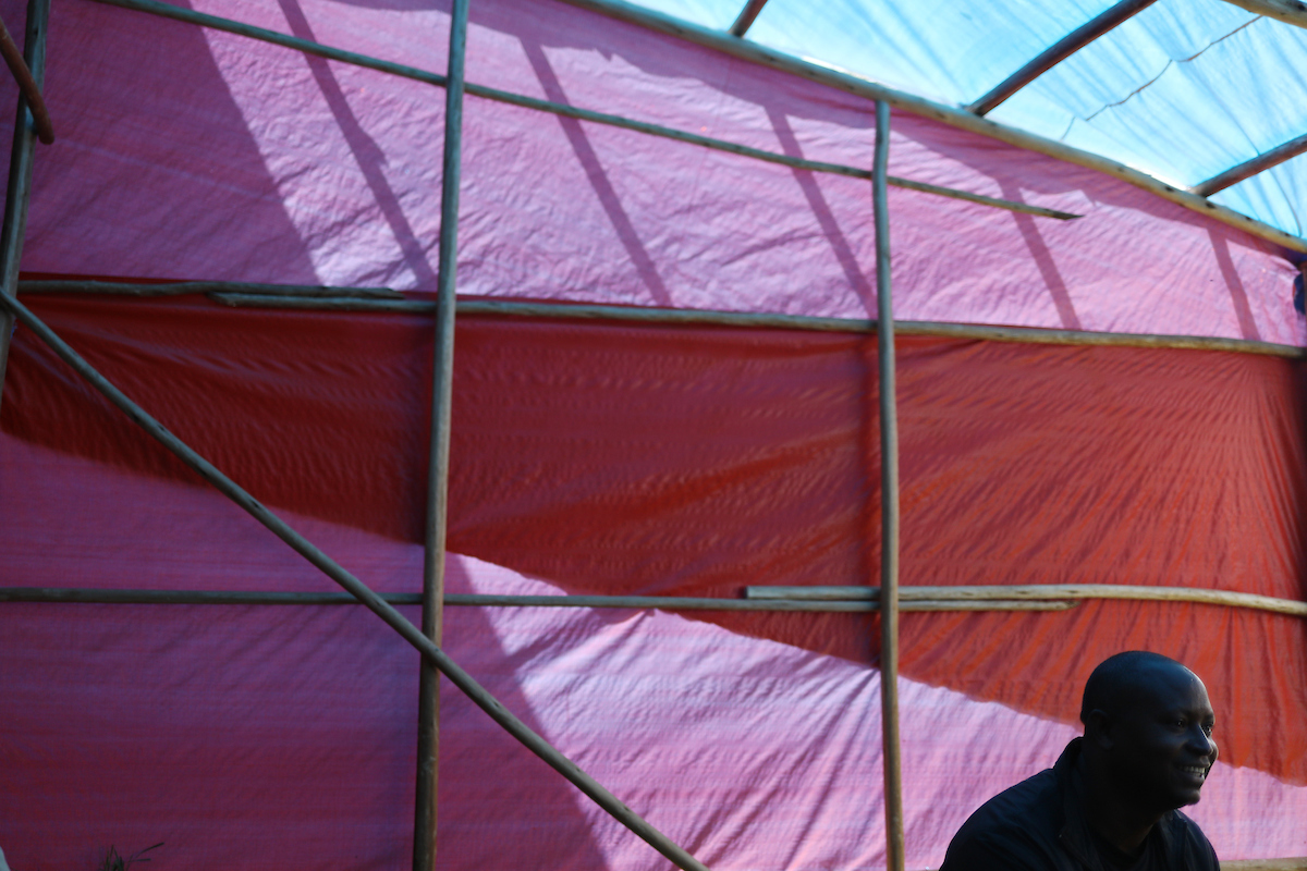 Ethiopia 2019. 

Photo by Quinn Foster | UK Athletics