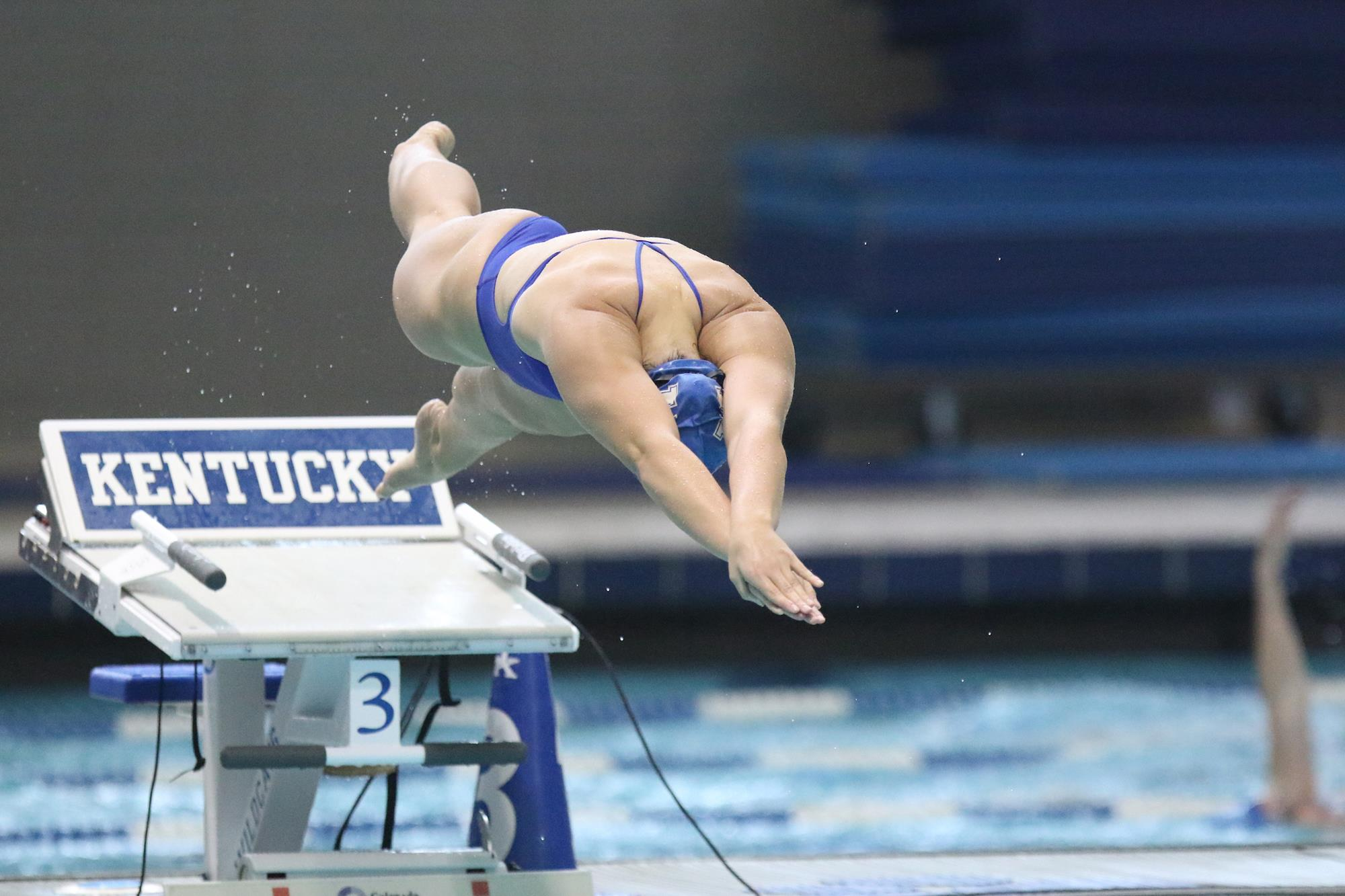 Wildcats Named CSCAA Scholar All-America Teams