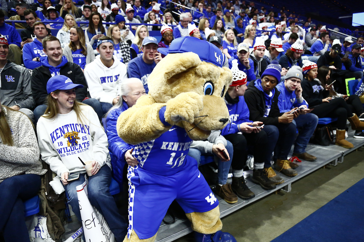 College Game Day. 2019.

Photo by Chet White | UK Athletics