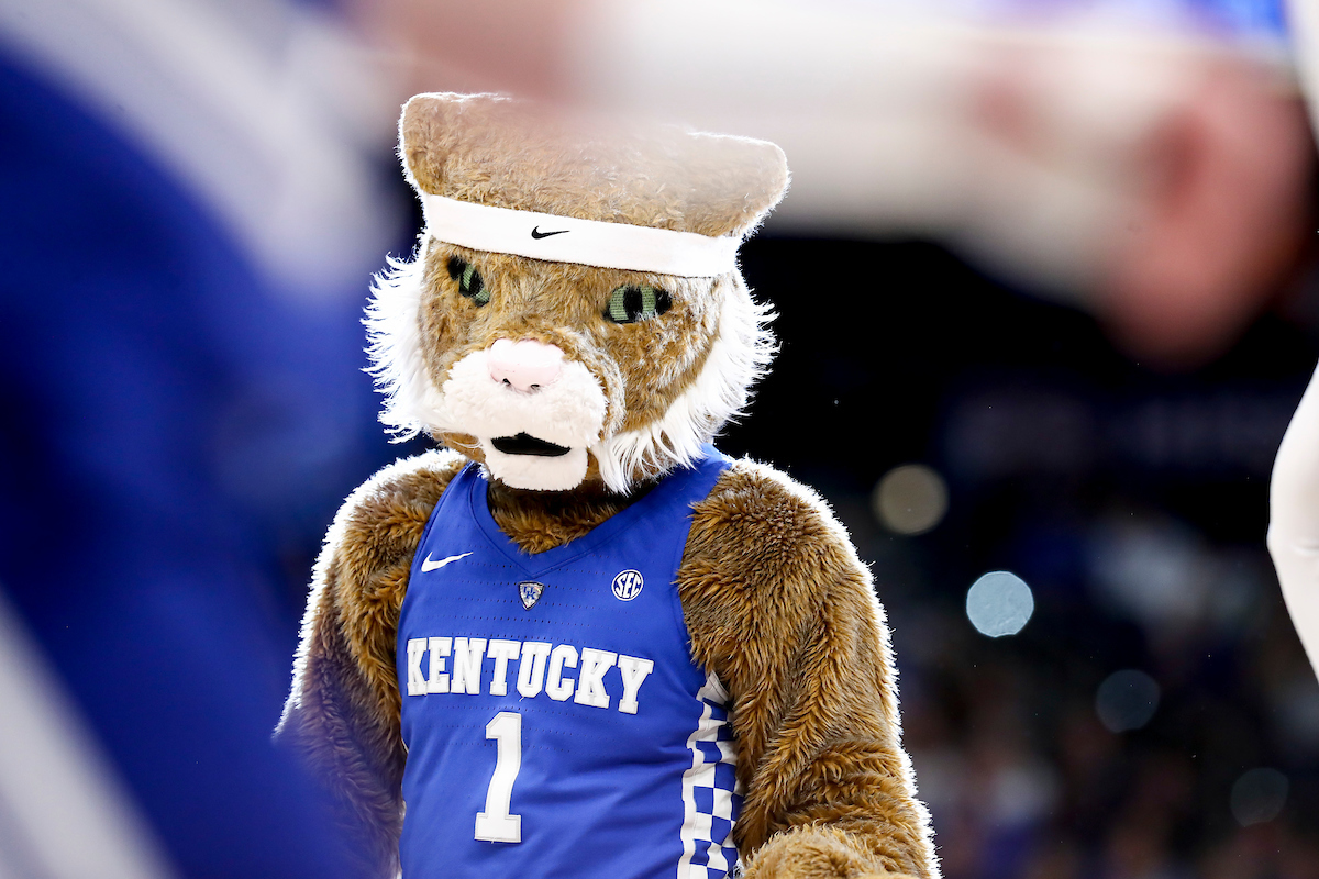 Wildcat.

Kentucky loses to Tennessee 69-62.

Photos by Chet White | UK Athletics