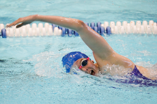 UK swim-dive vs Vandy.

Photo by Chet White | UK Athletics