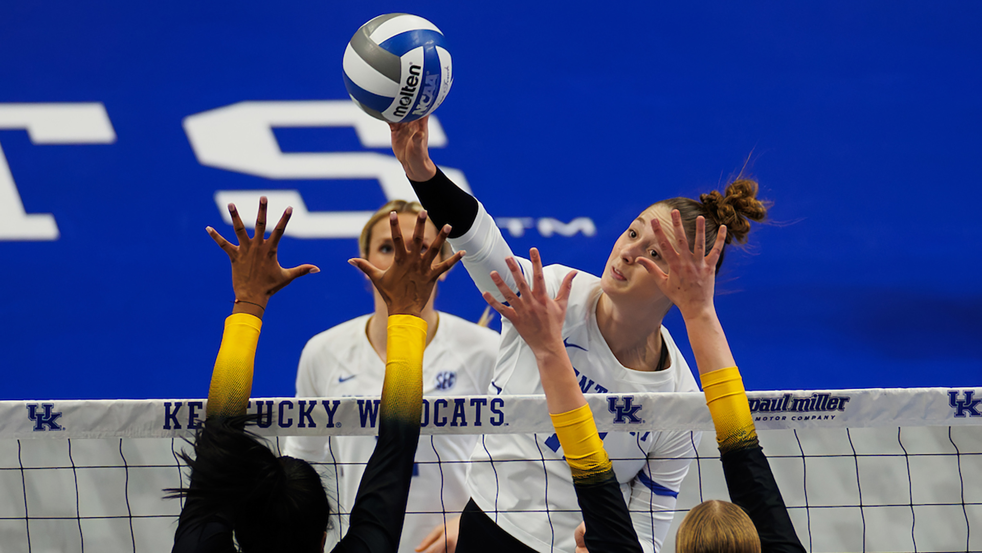 Kentucky Volleyball Meets Arkansas in NCAA Sweet 16