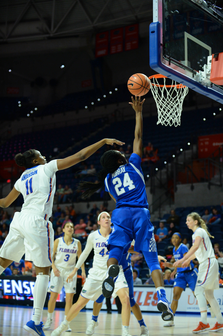 Photo by Julie O'Brien