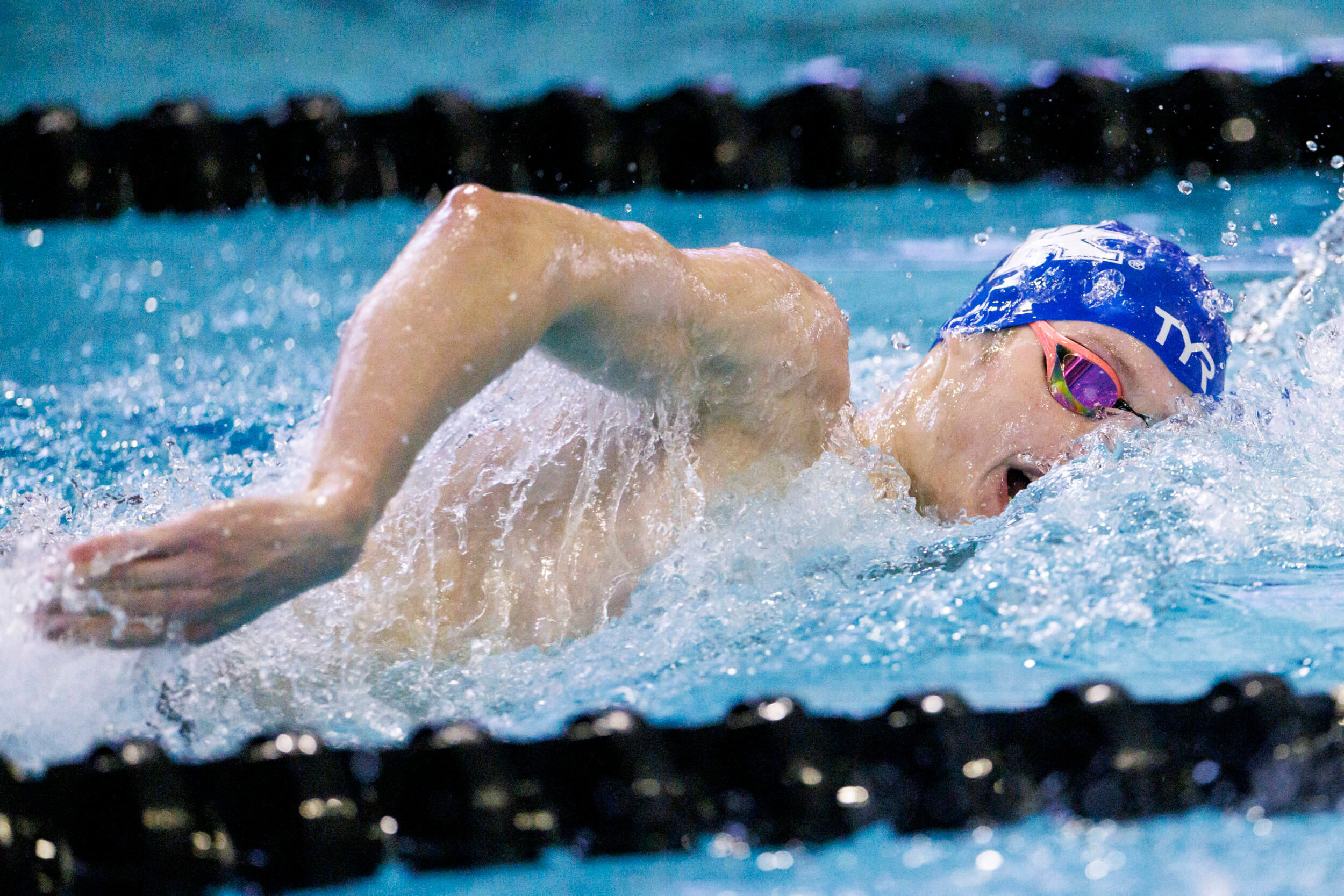 Kentucky Swimming & Diving Prepares for Senior Day Against Louisville