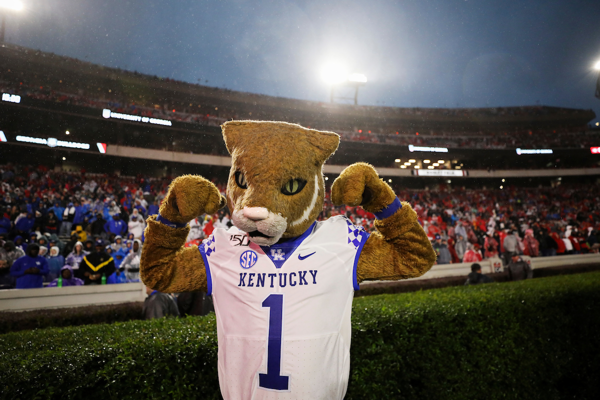 Wildcat.

Kentucky falls to Georgia 21-0.

Photo by Chet White | UK Athletics