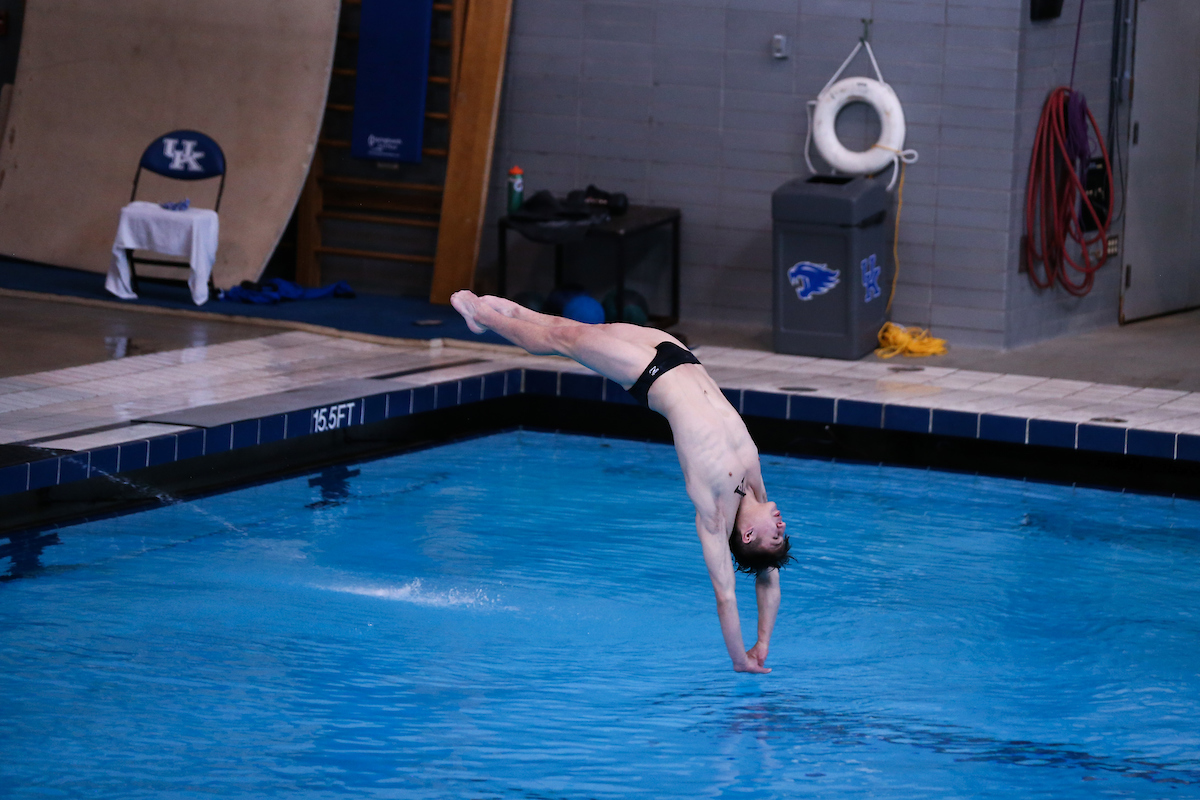 Kentucky Women's Swim/Dive beats Louisville
Kentucky Men's Swim/Dive fall to Louisville.

Photo by Sarah Caputi ?UK Athletics