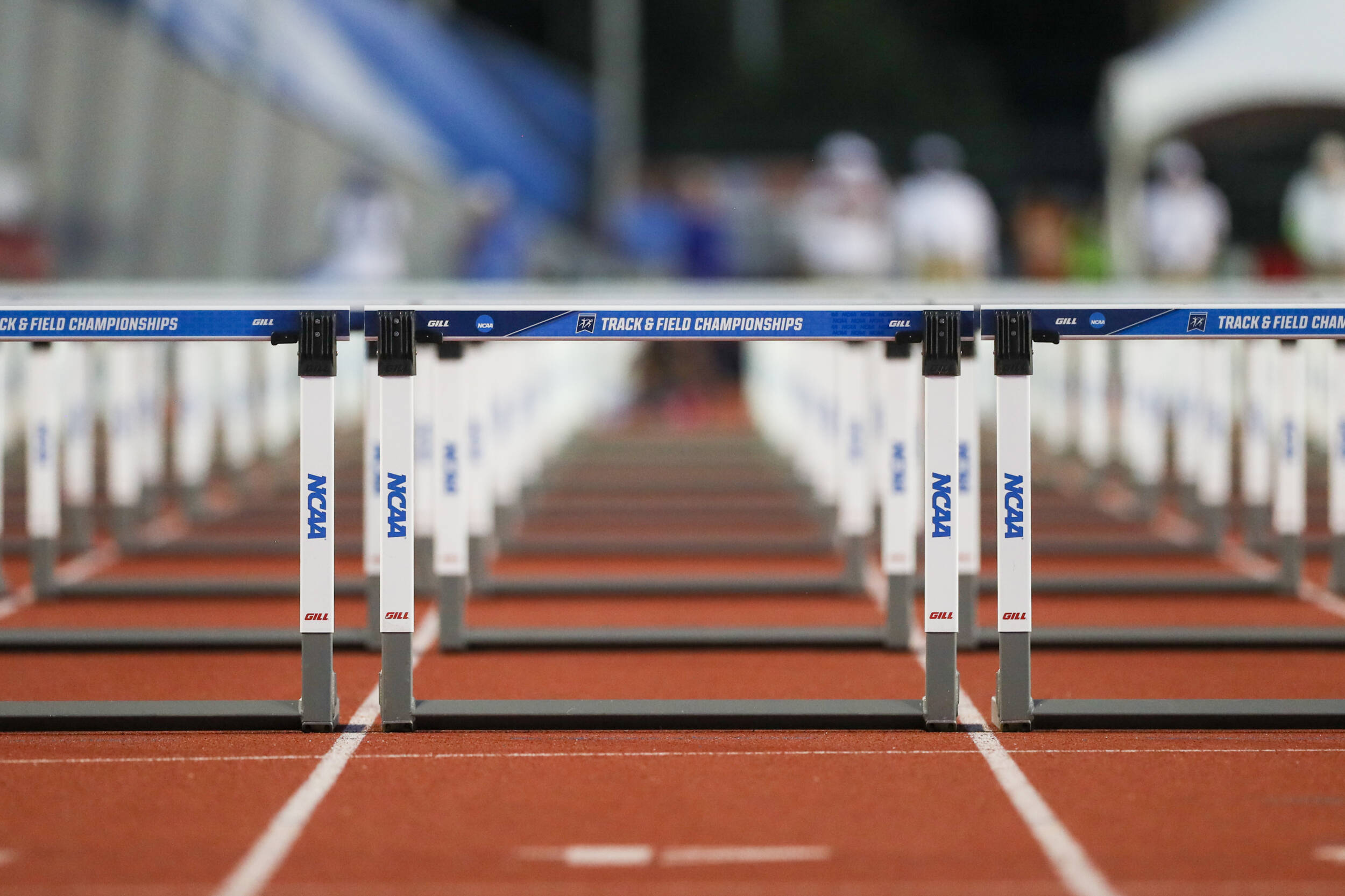 Sixteen UKTF Student Athletes Selected To USTFCCCA Academic Teams