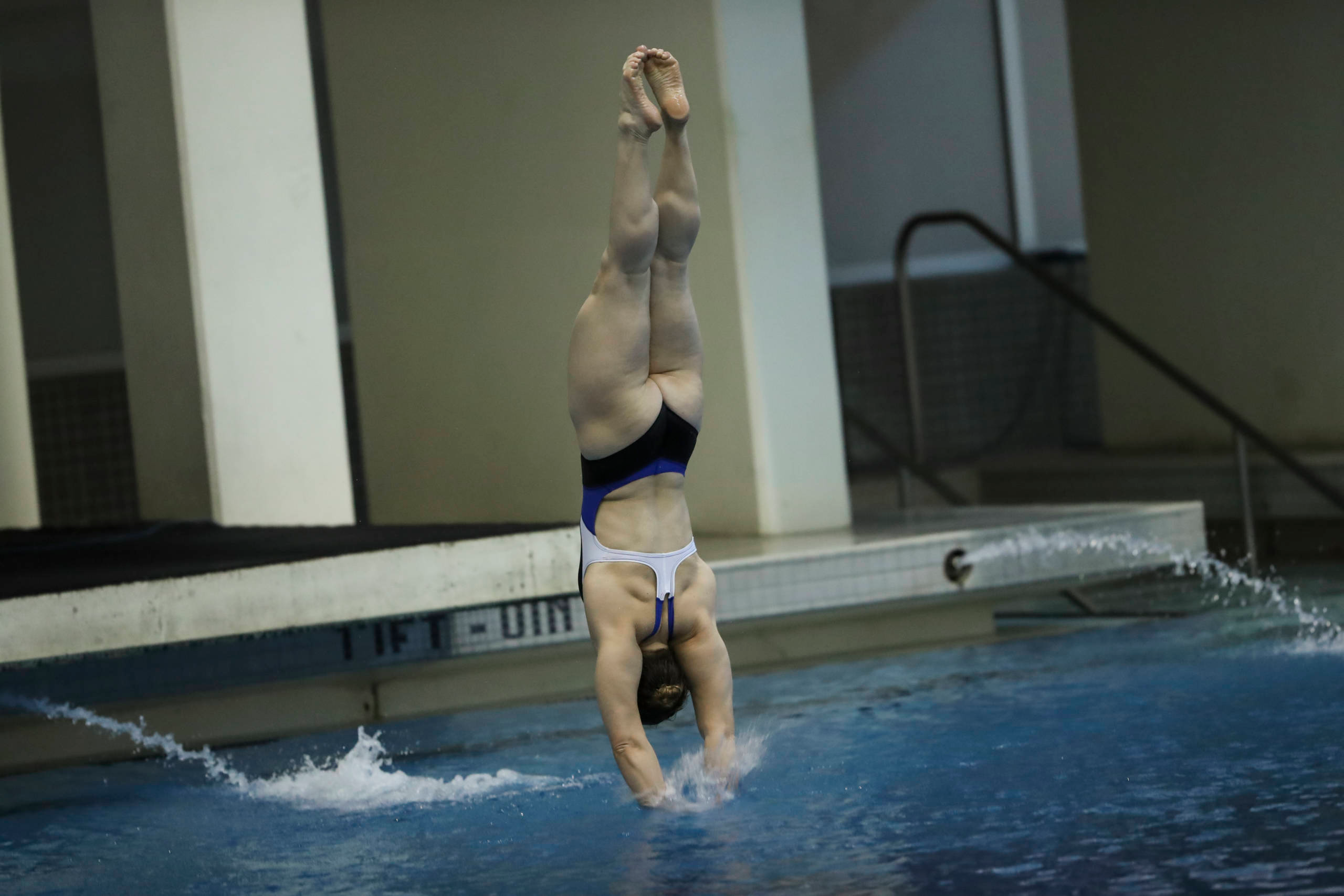 Eight Wildcats Headed to NCAA Zone C Diving Championships