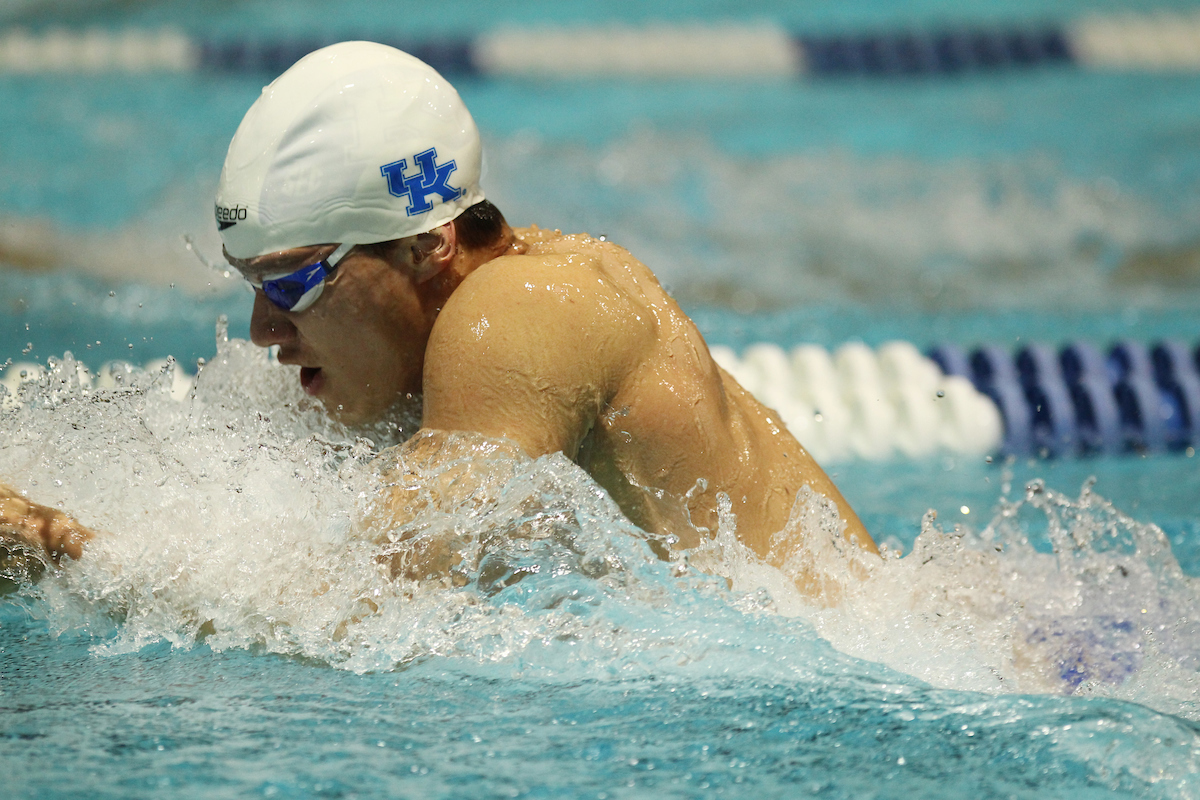 The University of Kentucky swim and dive team during their home meet against Ohio State and Toledo on Friday, January 5th, 2018, at the Lancaster Aquatic Center in Lexington, Ky.

Photo by Quinn Foster I UK Athletics