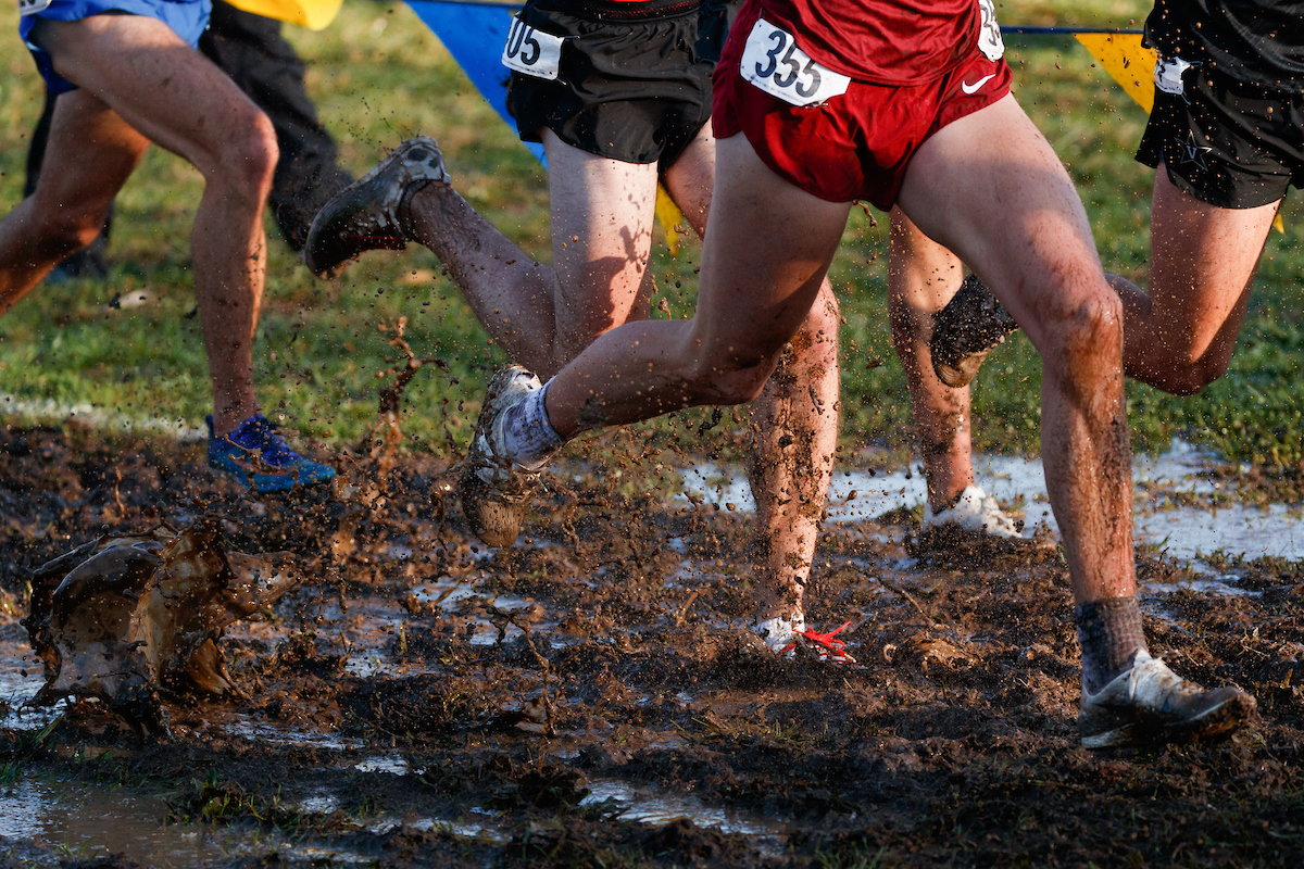2019 SEC Cross Country Championship.


Photo by Elliott Hess | UK Athletics
