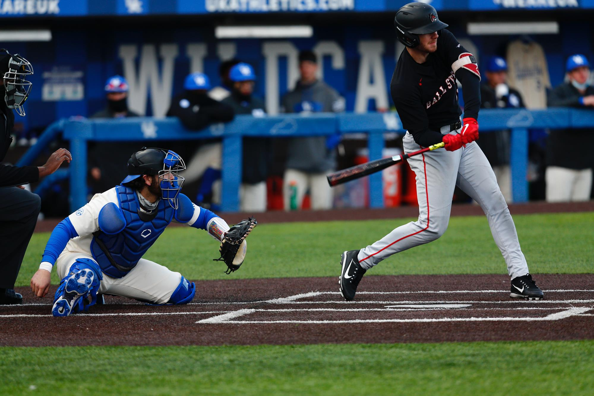 Kentucky Baseball Falls for the First Time