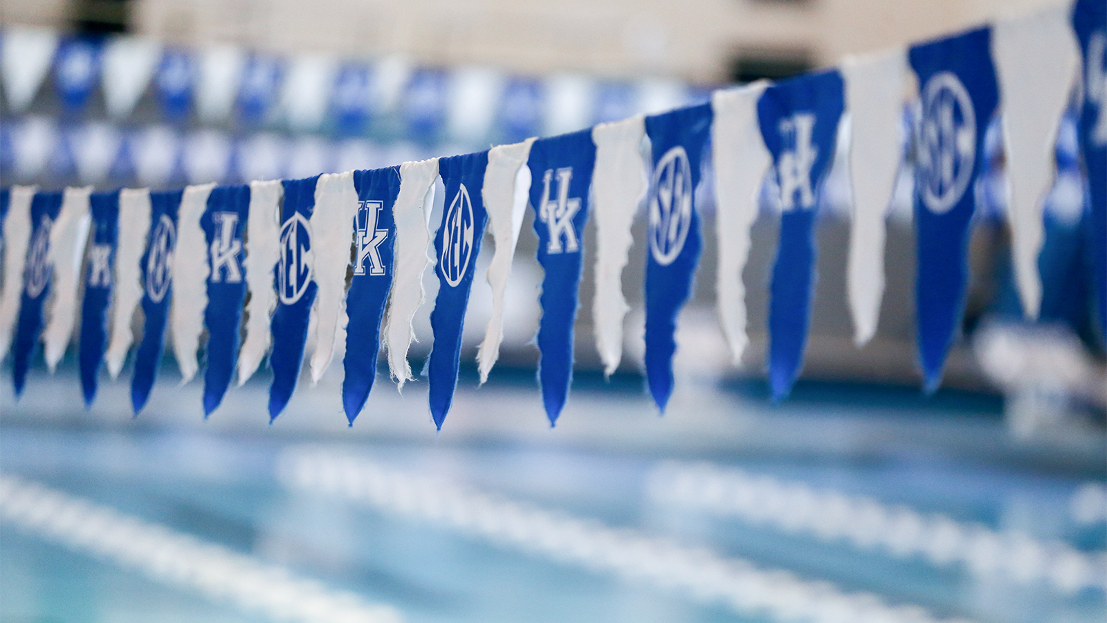 Kentucky Swimming and Diving Announces 2022-23 Schedule