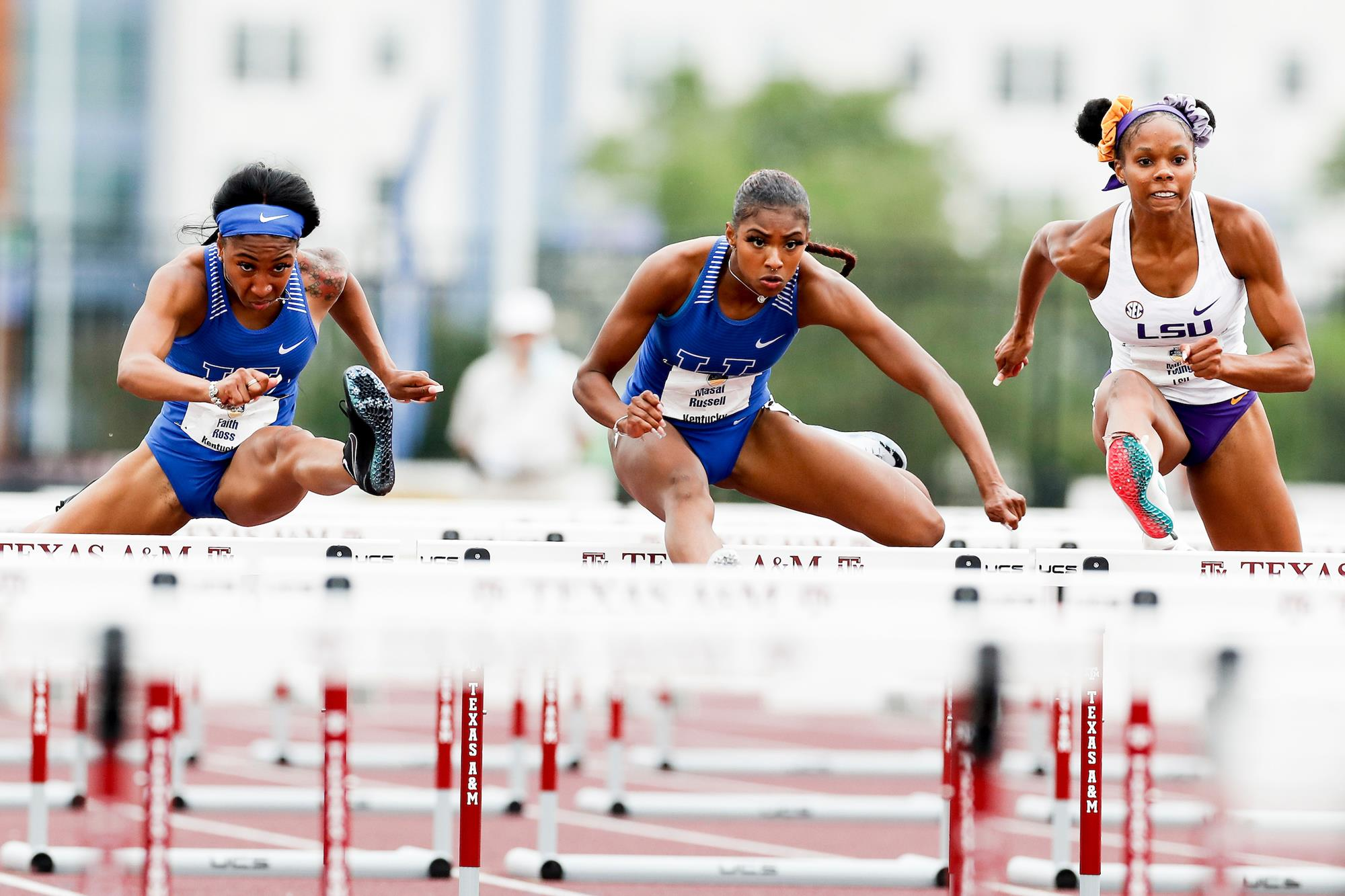 Kentucky Qualifies 46 Entries for NCAA East Preliminaries