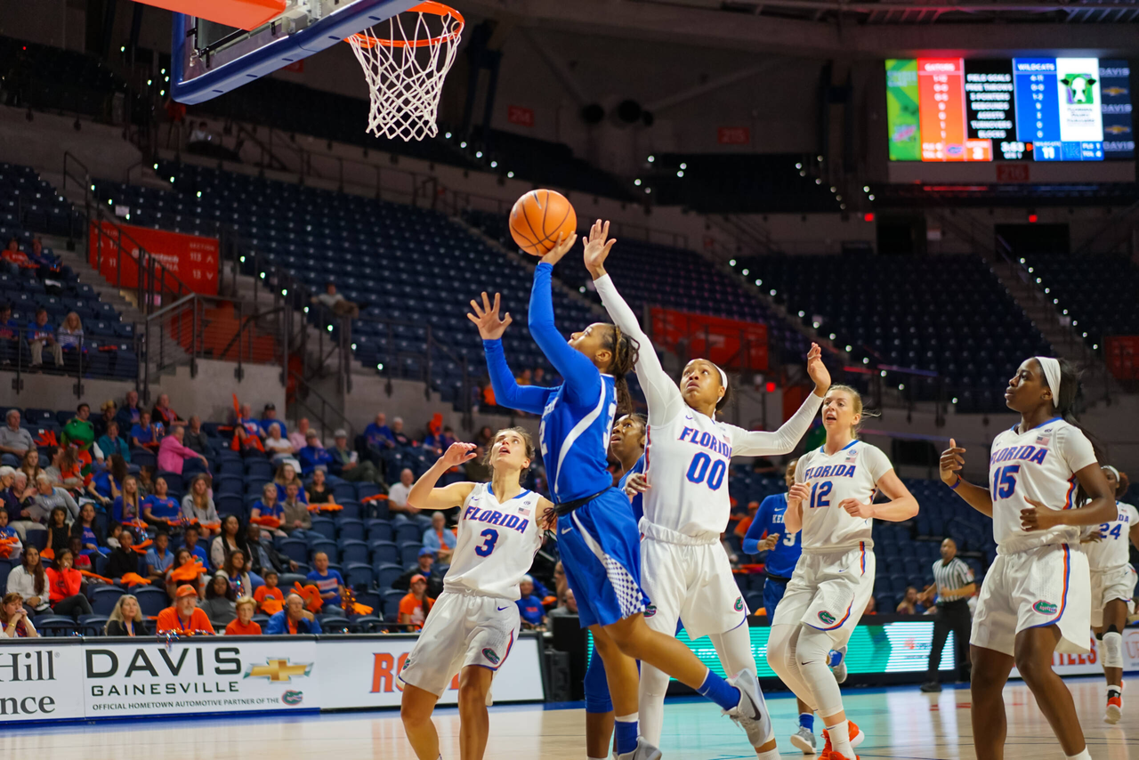 Photo by Julie O'Brien