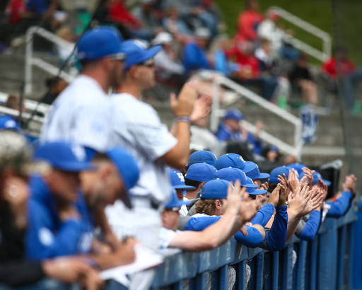 Dugout.

UK loses South Carolina 11-6.

Photo by Eddie Justice | UK Athletics