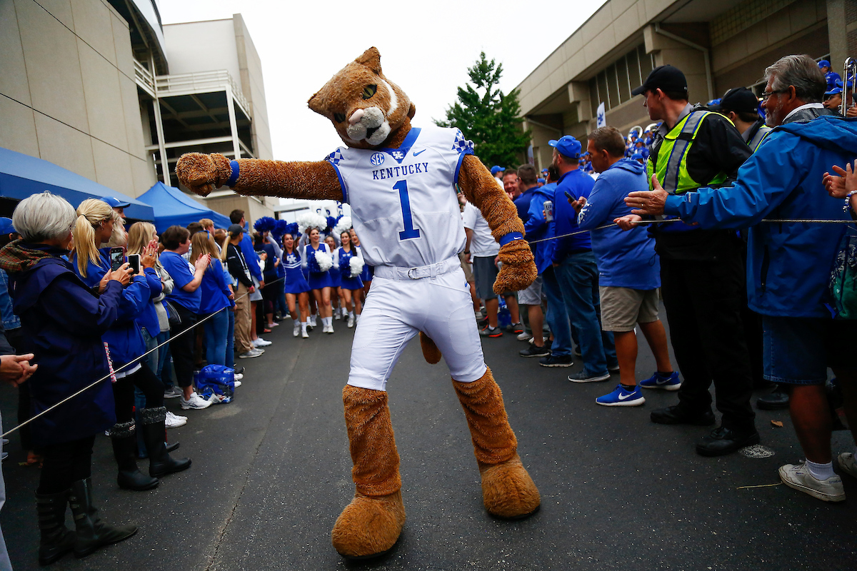 Wildcat.Kentucky football beats Mississippi State 28-7.Photo by Chet White | UK Athletics