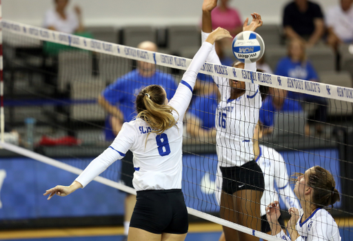 CAMERON SCHEITZACH

Volleyball open practice on Sunday, August 12, 2018. 

Photo by Britney Howard | UK Athletics