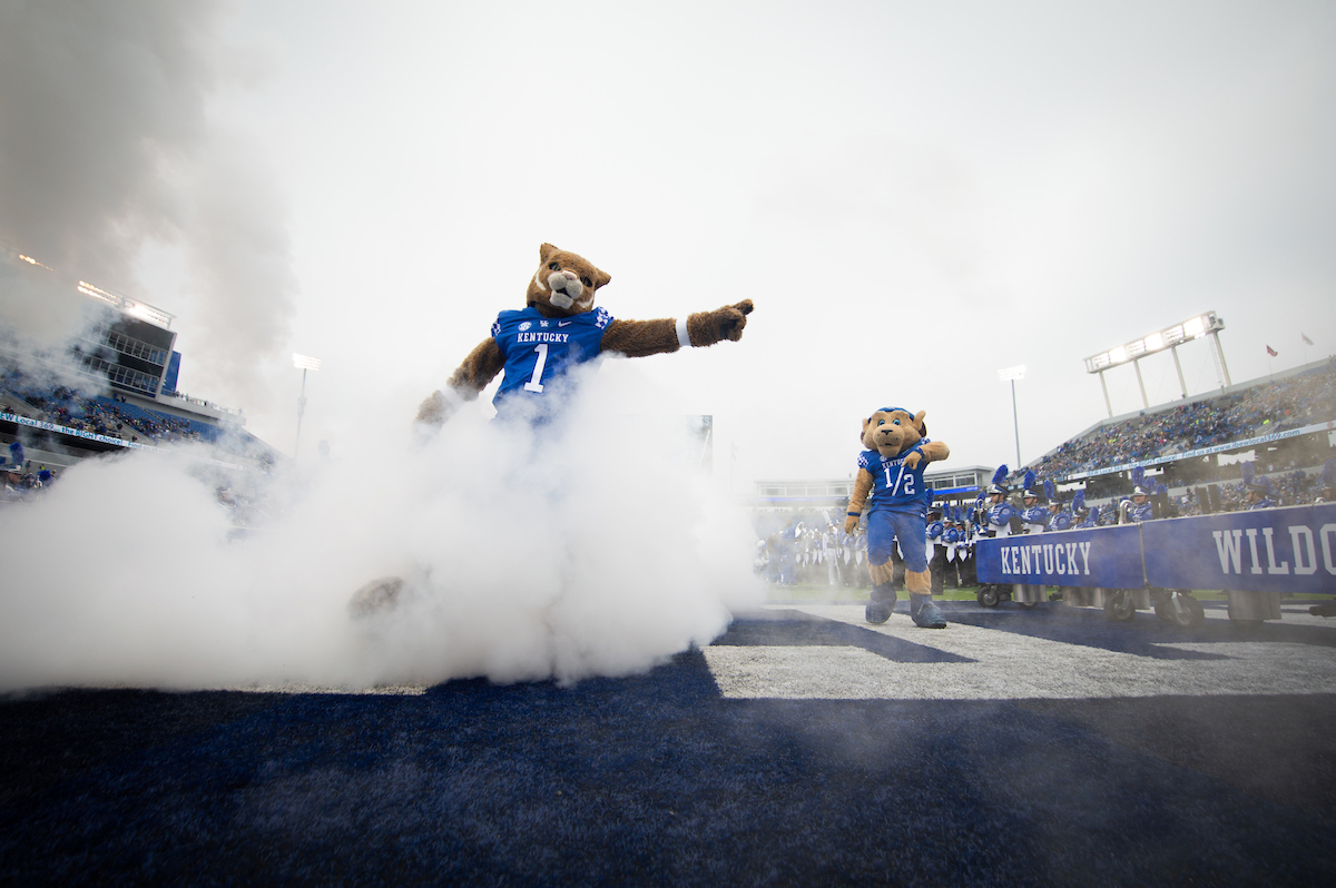 Mascot. UK Football beat MTSU 34-23 at Kroger Field on Saturday, November 17th,2018.Photo by Eddie Justice | UK Athletics