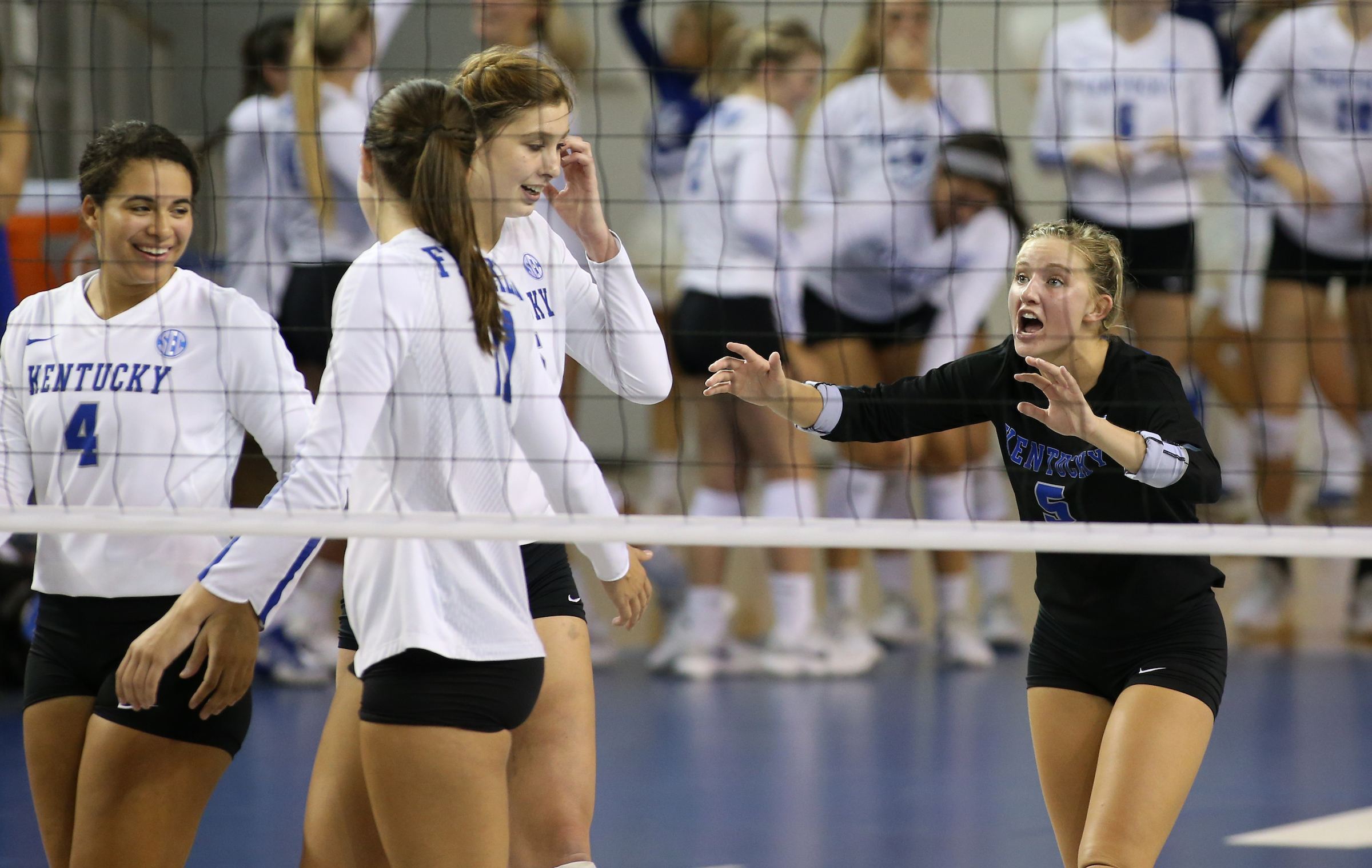 Return of Dusek Makes Kentucky Volleyball Even Better