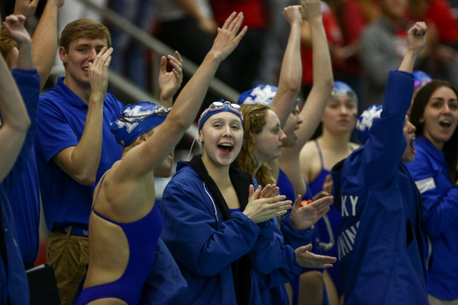 Kentucky Swim & Dive vs. Louisville.

Photo by Hannah Phillips | UK Athletics