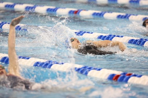 UK Women's Swimming & Diving in action on day four of the 2018 NCAA Championships on Thursday March 17, 2018 at the McCorkle Aquatic Pavilion.

Photos by Noah J. Richter | UK Athletics