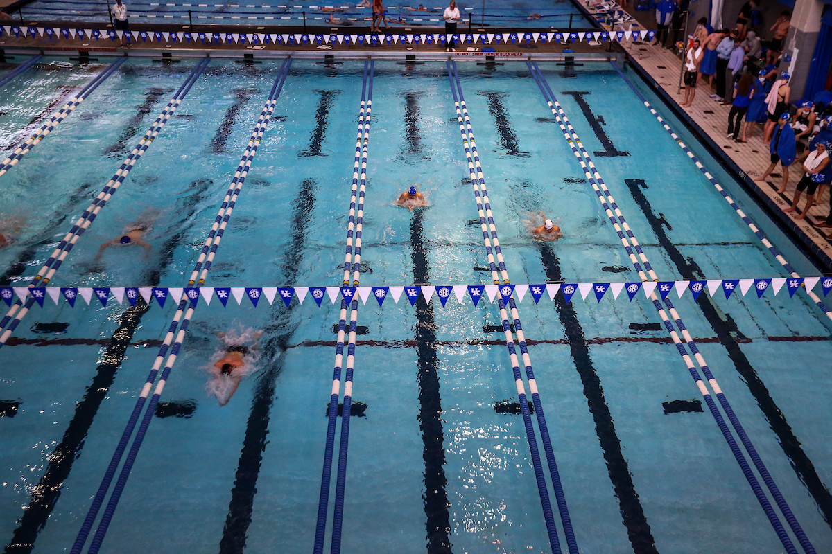 Kentucky Women's Swim/Dive beats Louisville
Kentucky Men's Swim/Dive fall to Louisville.

Photo by Sarah Caputi ?UK Athletics