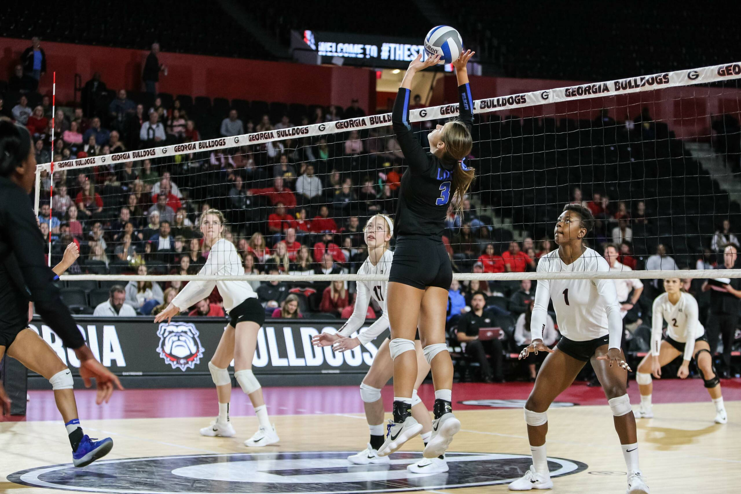 Kentucky-Georgia VB Photo Gallery