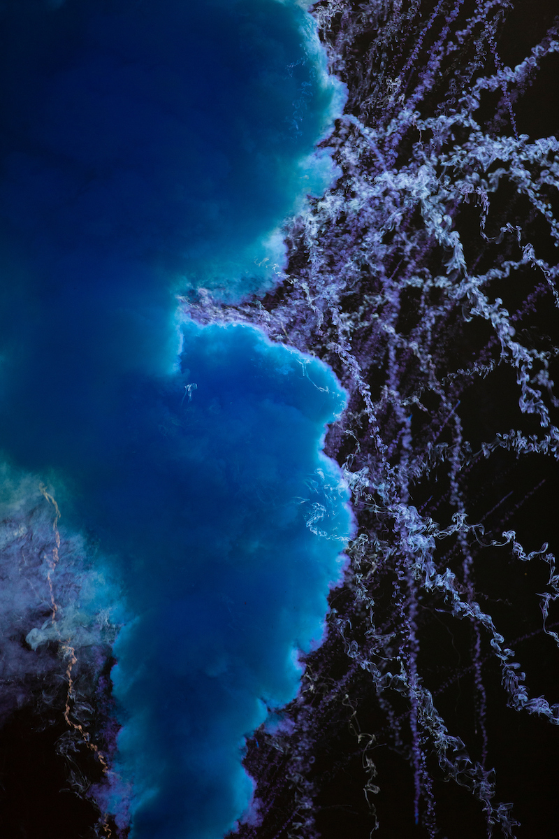 Kentucky beats Wright St. 3-0.

Photo by Grace Bradley | UK Athletics