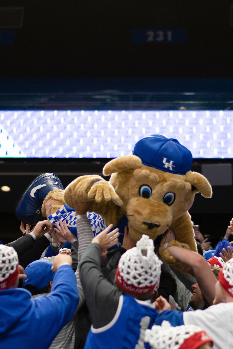 College Game Day. 2019.

Photo by Meghan Baumhardt | UK Athletics