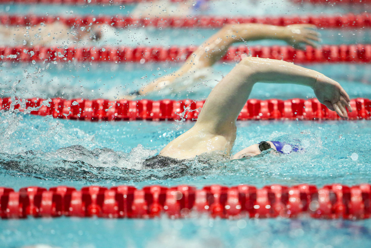 2019 SEC Swimming and Diving Championships