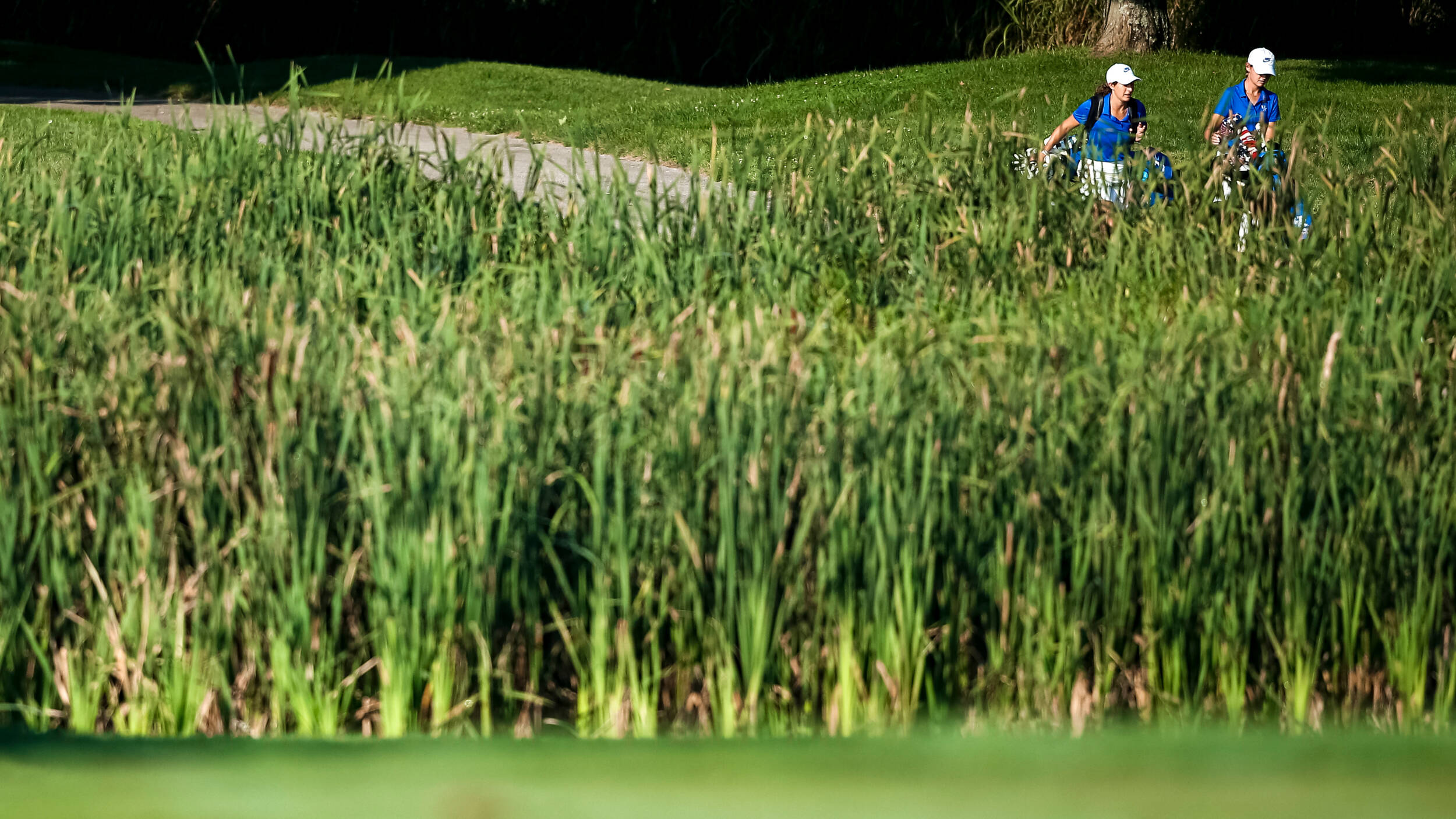 Kentucky Women’s Golf Signs Karlie Campbell Friday