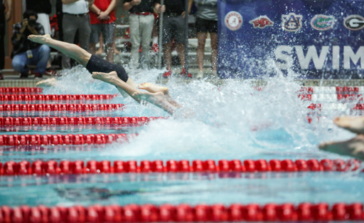 2019 SEC Swimming and Diving Championships