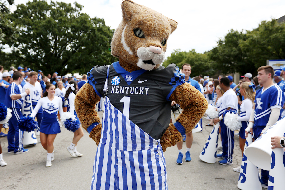 Wildcat, MascotKentucky Football beats Central Michigan 35-20.Photo by Britney Howard | UK Athletics