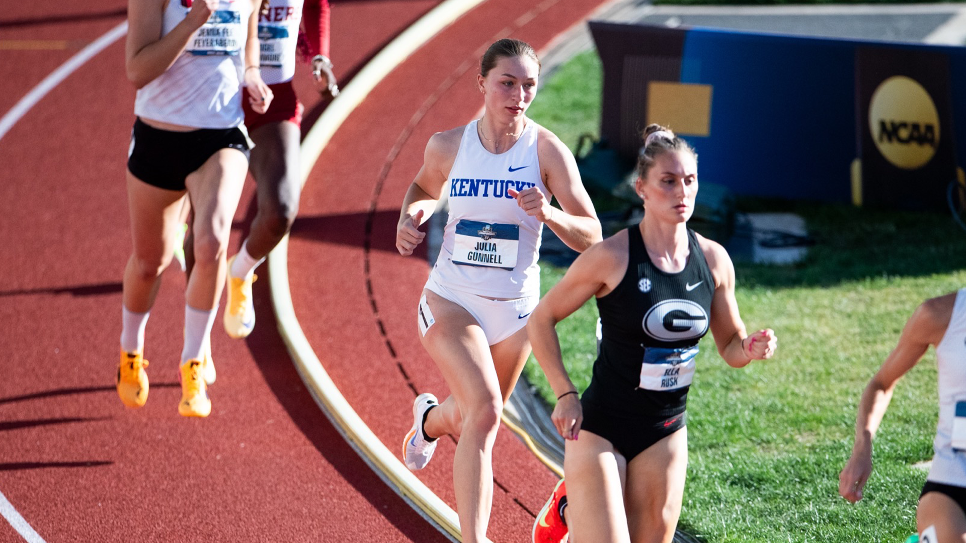 Wildcats Conclude 2026 Season on Final Day of NCAA Championships