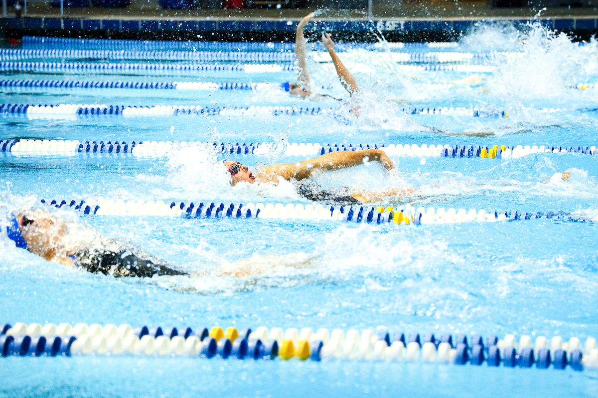 .

Kentucky Swim and Dive Blue and White meet.

Photo by Eddie Justice | UK Athletics