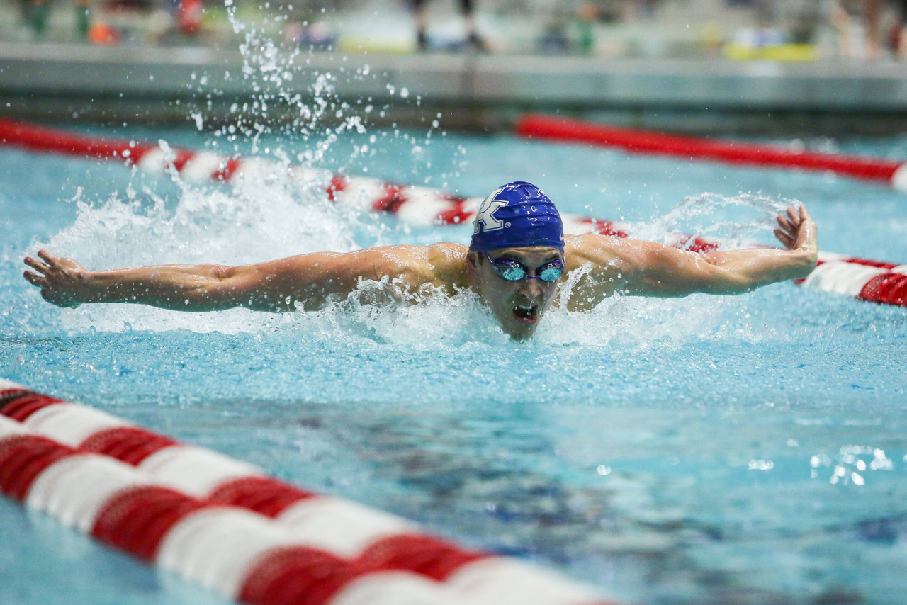 2019 SEC Swimming and Diving Championships