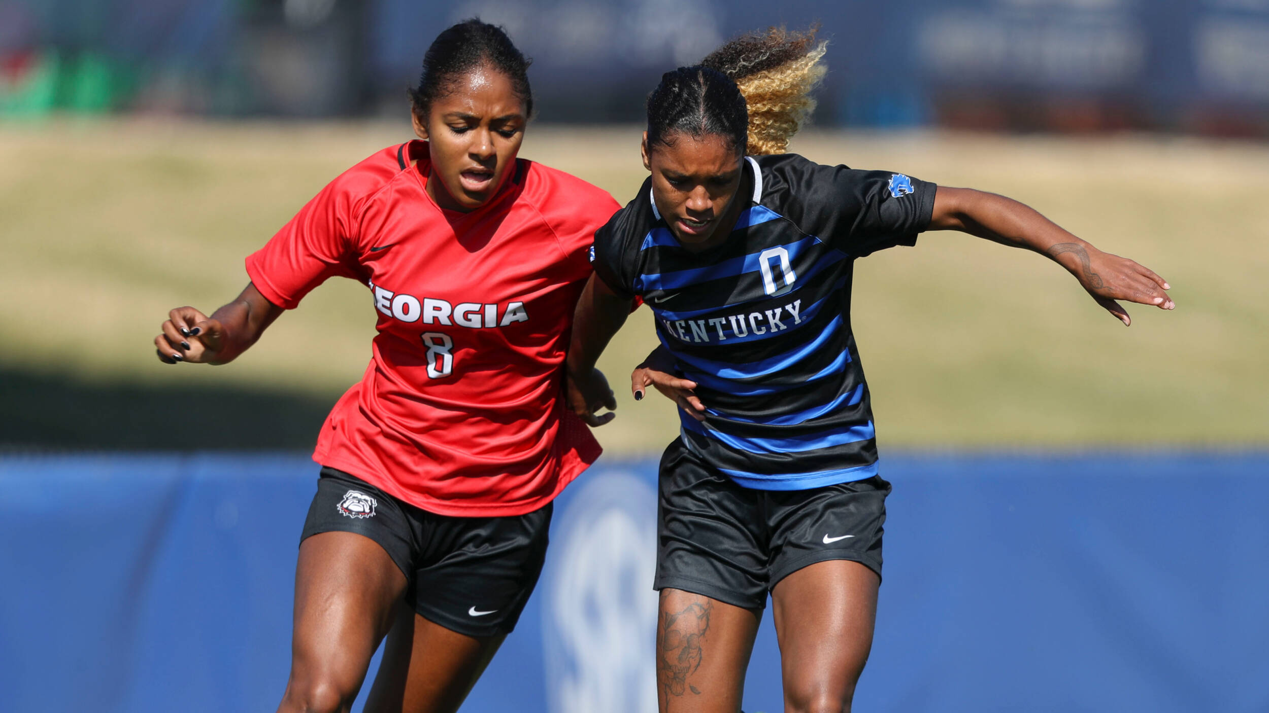 Kentucky Topped by Georgia, 3-0, in Home Finale
