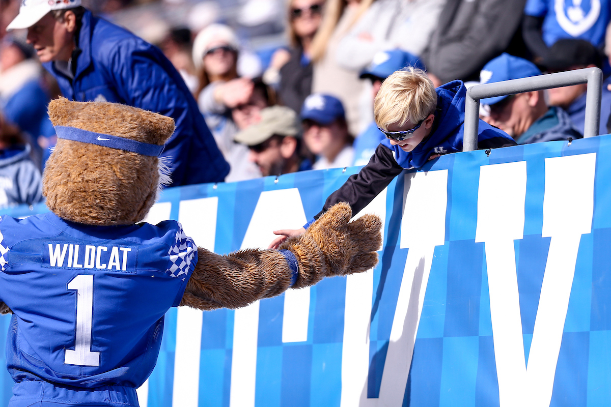 Wildcat and Fan.

Kentucky beat New Mexico State 56-16.

Photo by Sarah Caputi | UK Athletics