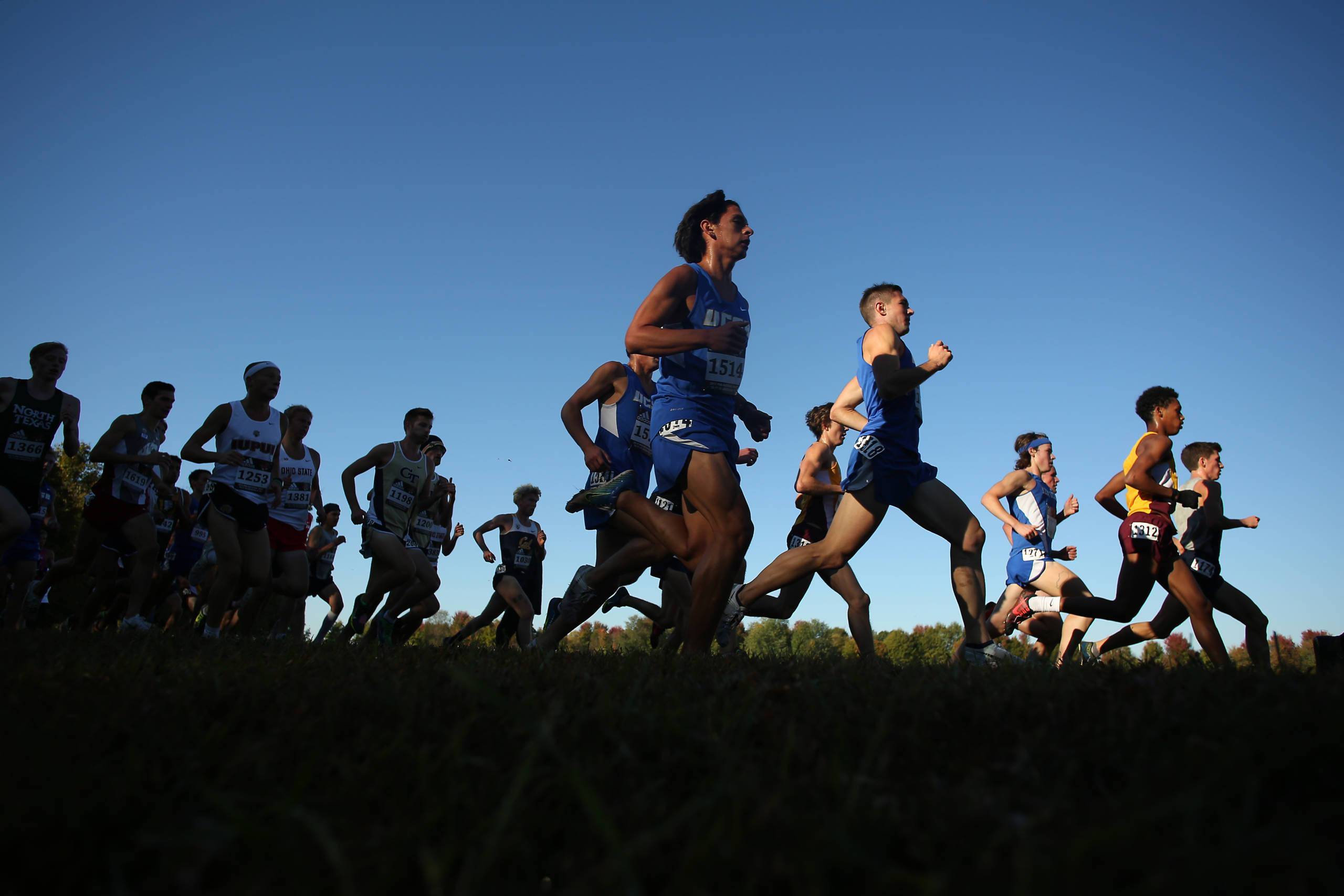 UKXC Men Fourth at SEC Championships